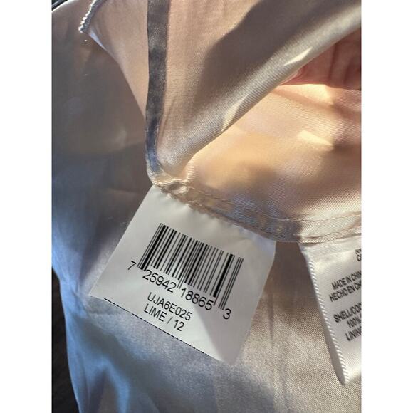 BCBGMAXAZRIA Lime 100% Silk Chiffon Pleated Top Maxi Dress Size 12 - Picture 8 of 8